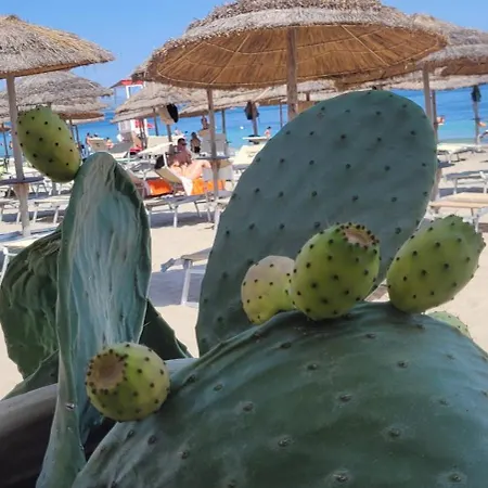 Casa Picciridda Apartament *