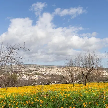 Casa Picciridda דירה