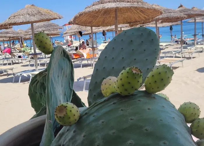 Casa Picciridda Apartamento *